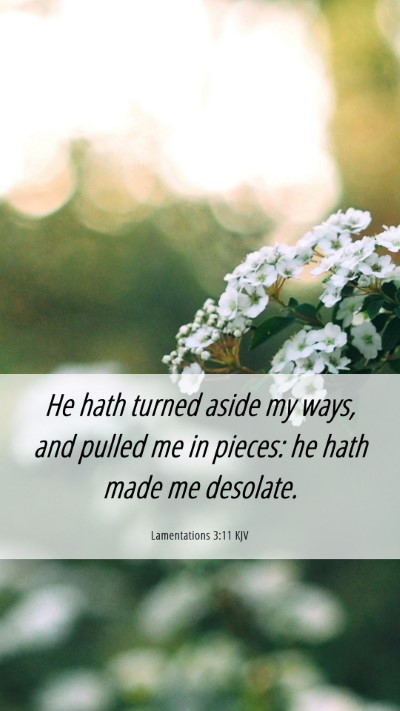 Picture 06 - Lamentations 3:11 KJV Mobile Phone Wallpaper - He hath turned aside my ways, and pulled me in - Mobile Bible Verse Wallpaper