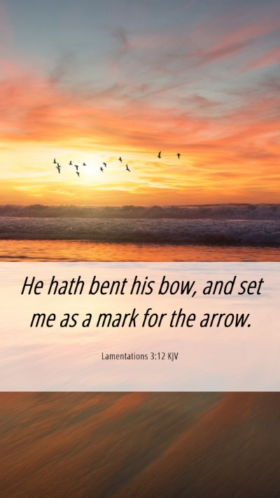 Picture 06 - Lamentations 3:12 KJV Mobile Phone Wallpaper - He hath bent his bow, and set me as a mark for - Mobile Bible Verse Wallpaper