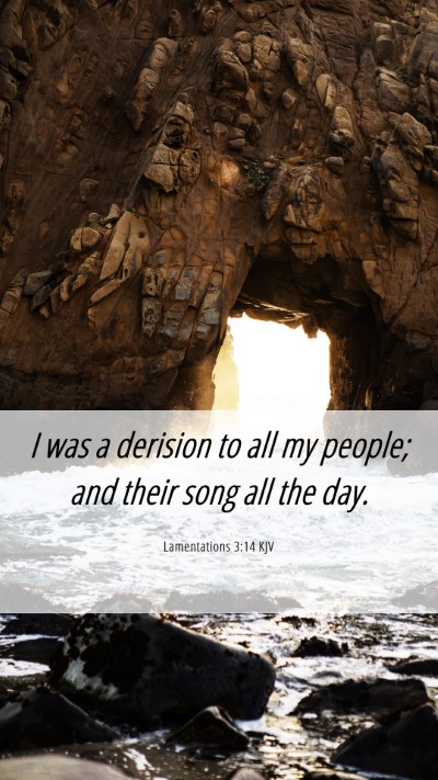 Picture 06 - Lamentations 3:14 KJV Mobile Phone Wallpaper - I was a derision to all my people; and their song - Mobile Bible Verse Wallpaper