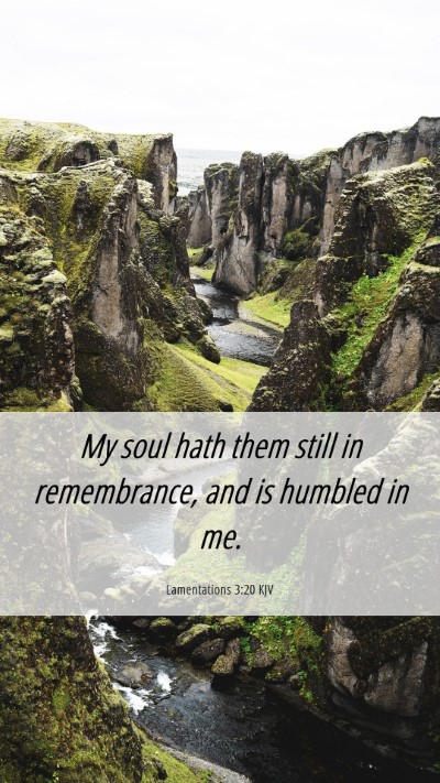 Picture 06 - Lamentations 3:20 KJV Mobile Phone Wallpaper - My soul hath them still in remembrance, and is - Mobile Bible Verse Wallpaper