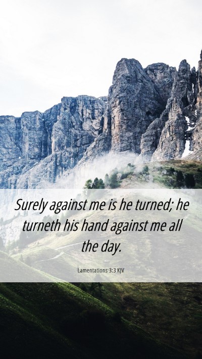 Picture 06 - Lamentations 3:3 KJV Mobile Phone Wallpaper - Surely against me is he turned; he turneth his - Mobile Bible Verse Wallpaper