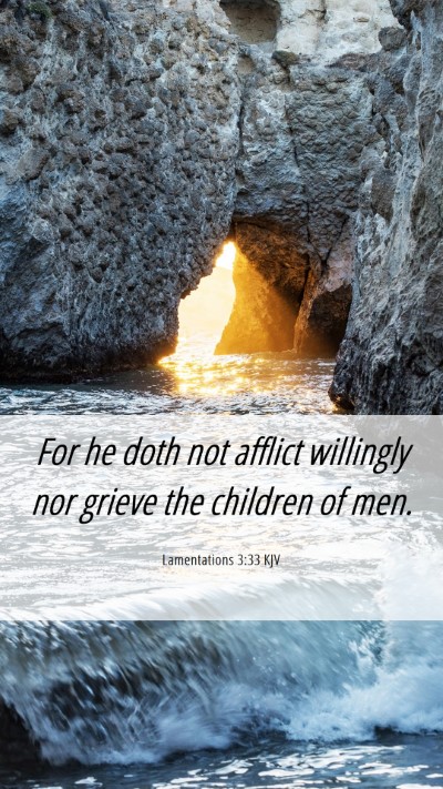 Picture 06 - Lamentations 3:33 KJV Mobile Phone Wallpaper - For he doth not afflict willingly nor grieve the - Mobile Bible Verse Wallpaper