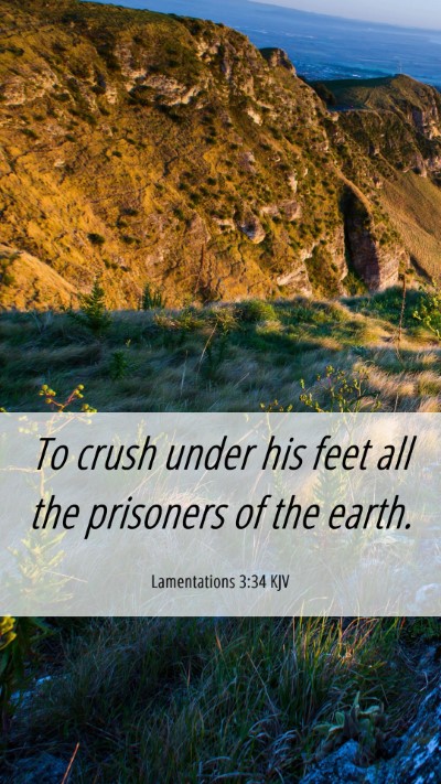 Picture 06 - Lamentations 3:34 KJV Mobile Phone Wallpaper - To crush under his feet all the prisoners of the - Mobile Bible Verse Wallpaper