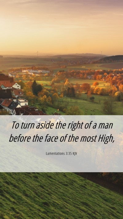 Picture 06 - Lamentations 3:35 KJV Mobile Phone Wallpaper - To turn aside the right of a man before the face - Mobile Bible Verse Wallpaper