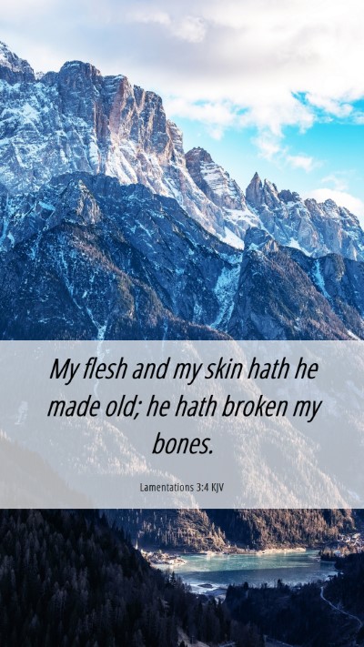 Picture 06 - Lamentations 3:4 KJV Mobile Phone Wallpaper - My flesh and my skin hath he made old; he hath - Mobile Bible Verse Wallpaper