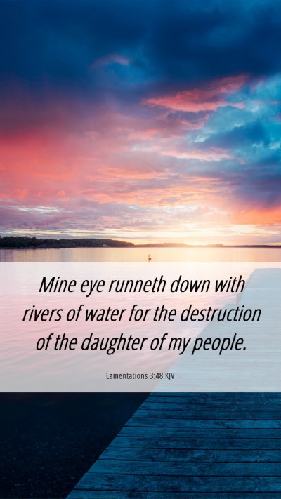Picture 06 - Lamentations 3:48 KJV Mobile Phone Wallpaper - Mine eye runneth down with rivers of water for - Mobile Bible Verse Wallpaper