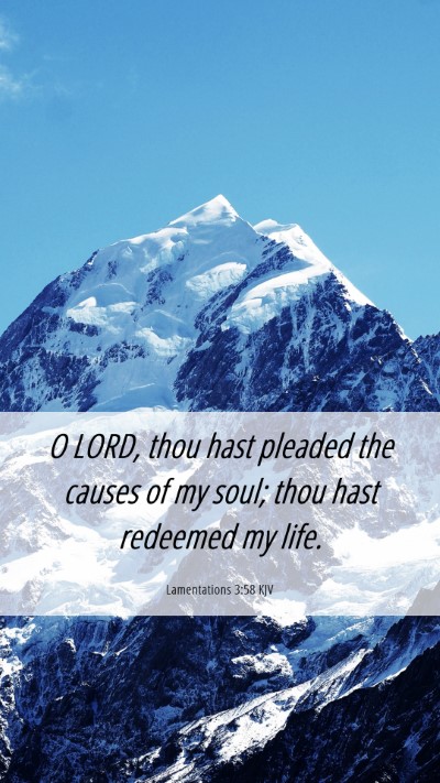 Picture 06 - Lamentations 3:58 KJV Mobile Phone Wallpaper - O LORD, thou hast pleaded the causes of my soul; - Mobile Bible Verse Wallpaper