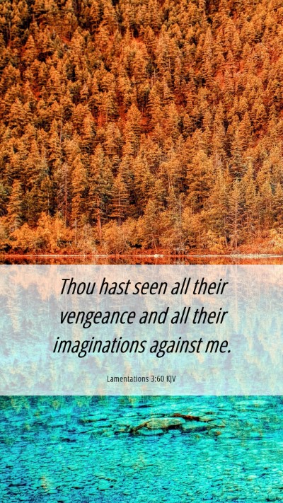 Picture 06 - Lamentations 3:60 KJV Mobile Phone Wallpaper - Thou hast seen all their vengeance and all their - Mobile Bible Verse Wallpaper