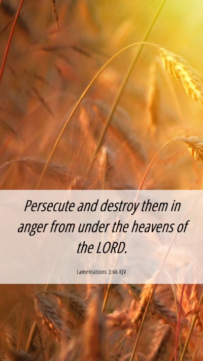 Picture 06 - Lamentations 3:66 KJV Mobile Phone Wallpaper - Persecute and destroy them in anger from under - Mobile Bible Verse Wallpaper