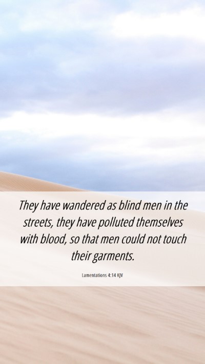 Picture 06 - Lamentations 4:14 KJV Mobile Phone Wallpaper - They have wandered as blind men in the streets, - Mobile Bible Verse Wallpaper