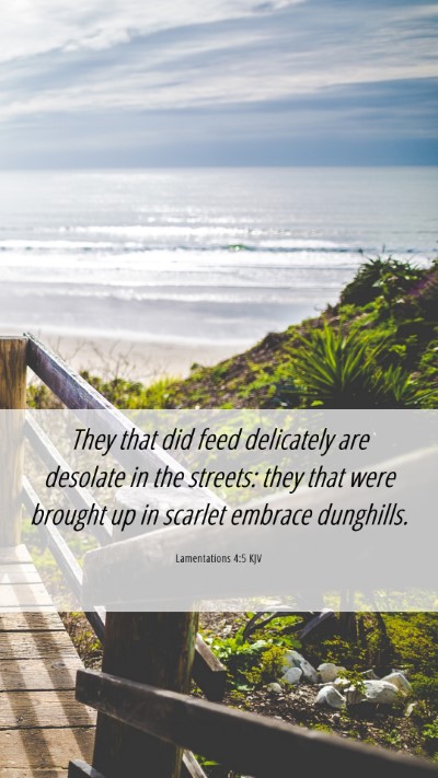 Picture 06 - Lamentations 4:5 KJV Mobile Phone Wallpaper - They that did feed delicately are desolate in the - Mobile Bible Verse Wallpaper