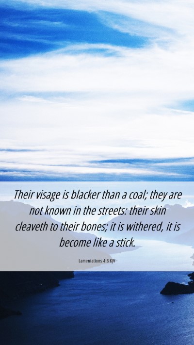 Picture 06 - Lamentations 4:8 KJV Mobile Phone Wallpaper - Their visage is blacker than a coal; they are not - Mobile Bible Verse Wallpaper
