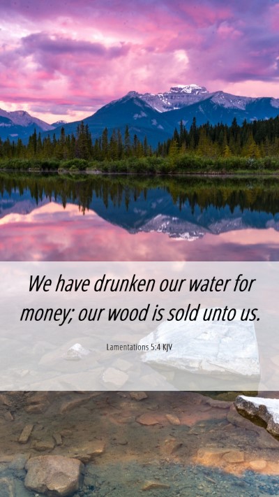 Picture 06 - Lamentations 5:4 KJV Mobile Phone Wallpaper - We have drunken our water for money; our wood is - Mobile Bible Verse Wallpaper