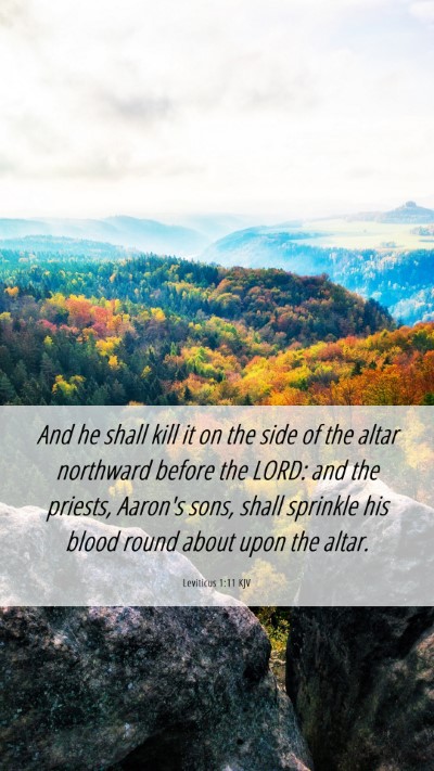 Picture 06 - Leviticus 1:11 KJV Mobile Phone Wallpaper - And he shall kill it on the side of the altar - Mobile Bible Verse Wallpaper