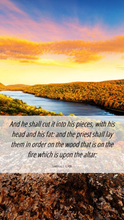 Picture 06 - Leviticus 1:12 KJV Mobile Phone Wallpaper - And he shall cut it into his pieces, with his - Mobile Bible Verse Wallpaper