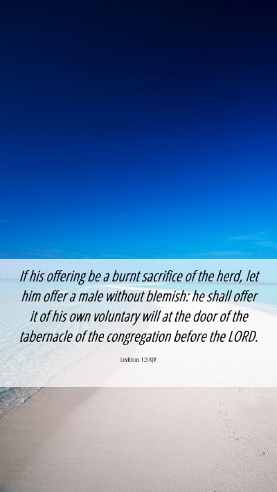 Picture 06 - Leviticus 1:3 KJV Mobile Phone Wallpaper - If his offering be a burnt sacrifice of the herd, - Mobile Bible Verse Wallpaper