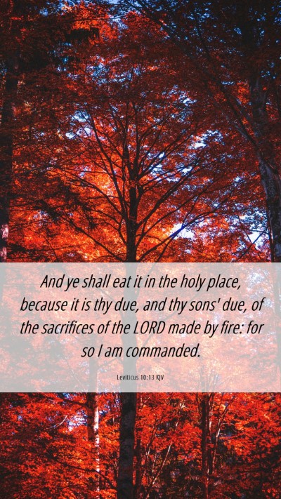 Picture 06 - Leviticus 10:13 KJV Mobile Phone Wallpaper - And ye shall eat it in the holy place, because it - Mobile Bible Verse Wallpaper