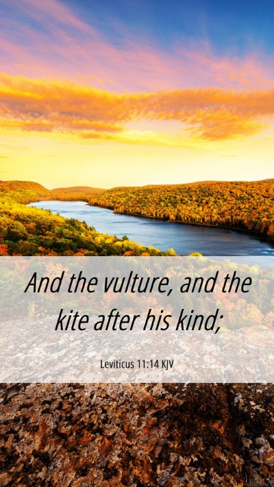 Picture 06 - Leviticus 11:14 KJV Mobile Phone Wallpaper - And the vulture, and the kite after his - Mobile Bible Verse Wallpaper