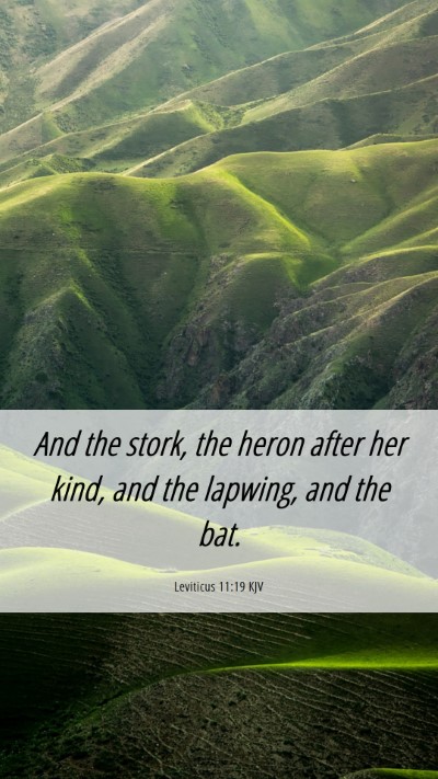 Picture 06 - Leviticus 11:19 KJV Mobile Phone Wallpaper - And the stork, the heron after her kind, and the - Mobile Bible Verse Wallpaper