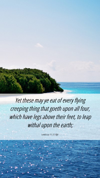 Picture 06 - Leviticus 11:21 KJV Mobile Phone Wallpaper - Yet these may ye eat of every flying creeping - Mobile Bible Verse Wallpaper
