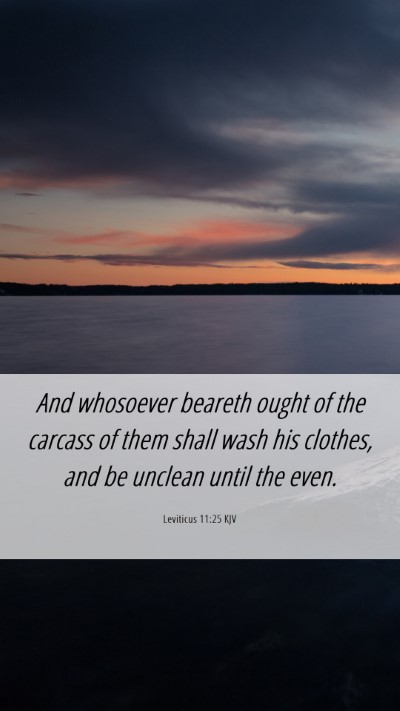 Picture 06 - Leviticus 11:25 KJV Mobile Phone Wallpaper - And whosoever beareth ought of the carcass of - Mobile Bible Verse Wallpaper