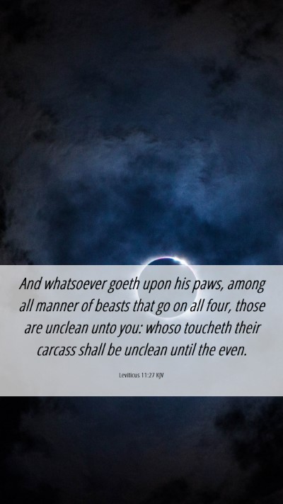 Picture 06 - Leviticus 11:27 KJV Mobile Phone Wallpaper - And whatsoever goeth upon his paws, among all - Mobile Bible Verse Wallpaper