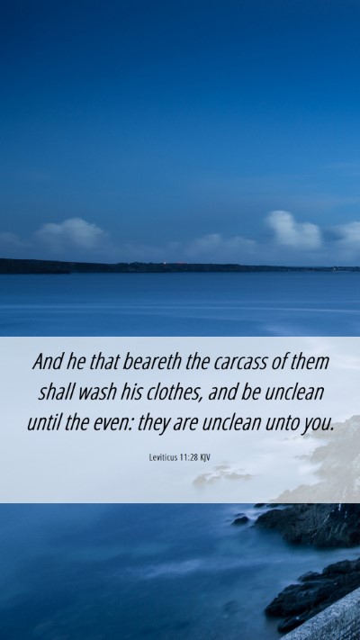 Picture 06 - Leviticus 11:28 KJV Mobile Phone Wallpaper - And he that beareth the carcass of them shall - Mobile Bible Verse Wallpaper