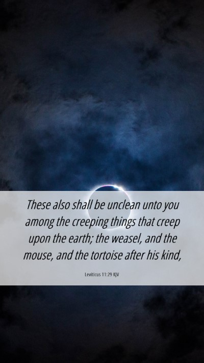 Picture 06 - Leviticus 11:29 KJV Mobile Phone Wallpaper - These also shall be unclean unto you among the - Mobile Bible Verse Wallpaper
