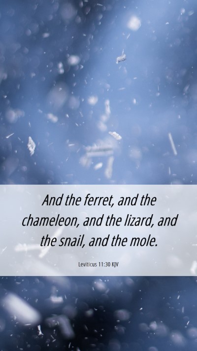 Picture 06 - Leviticus 11:30 KJV Mobile Phone Wallpaper - And the ferret, and the chameleon, and the - Mobile Bible Verse Wallpaper