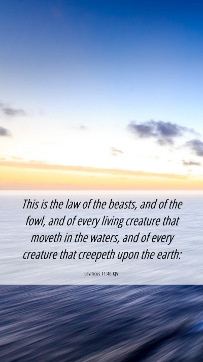 Picture 06 - Leviticus 11:46 KJV Mobile Phone Wallpaper - This is the law of the beasts, and of the fowl, - Mobile Bible Verse Wallpaper