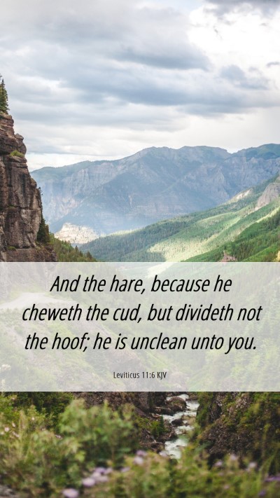 Picture 06 - Leviticus 11:6 KJV Mobile Phone Wallpaper - And the hare, because he cheweth the cud, but - Mobile Bible Verse Wallpaper