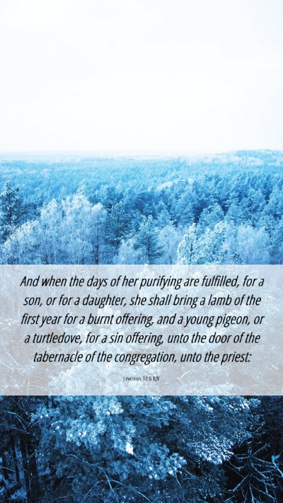 Picture 06 - Leviticus 12:6 KJV Mobile Phone Wallpaper - And when the days of her purifying are fulfilled, - Mobile Bible Verse Wallpaper