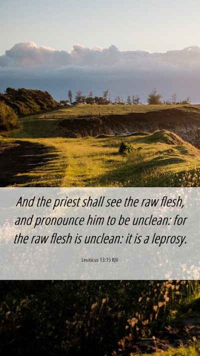 Picture 06 - Leviticus 13:15 KJV Mobile Phone Wallpaper - And the priest shall see the raw flesh, and - Mobile Bible Verse Wallpaper