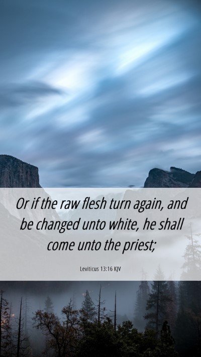Picture 06 - Leviticus 13:16 KJV Mobile Phone Wallpaper - Or if the raw flesh turn again, and be changed - Mobile Bible Verse Wallpaper