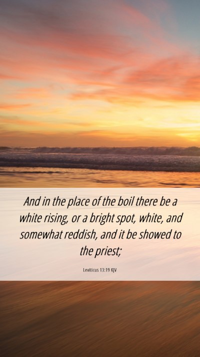 Picture 06 - Leviticus 13:19 KJV Mobile Phone Wallpaper - And in the place of the boil there be a white - Mobile Bible Verse Wallpaper
