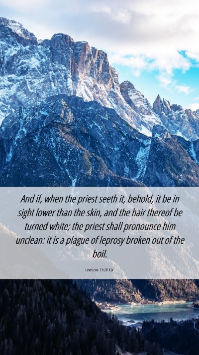 Picture 06 - Leviticus 13:20 KJV Mobile Phone Wallpaper - And if, when the priest seeth it, behold, it be - Mobile Bible Verse Wallpaper