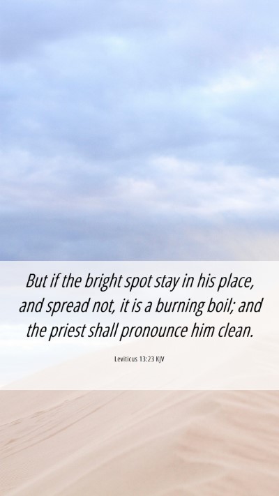 Picture 06 - Leviticus 13:23 KJV Mobile Phone Wallpaper - But if the bright spot stay in his place, and - Mobile Bible Verse Wallpaper