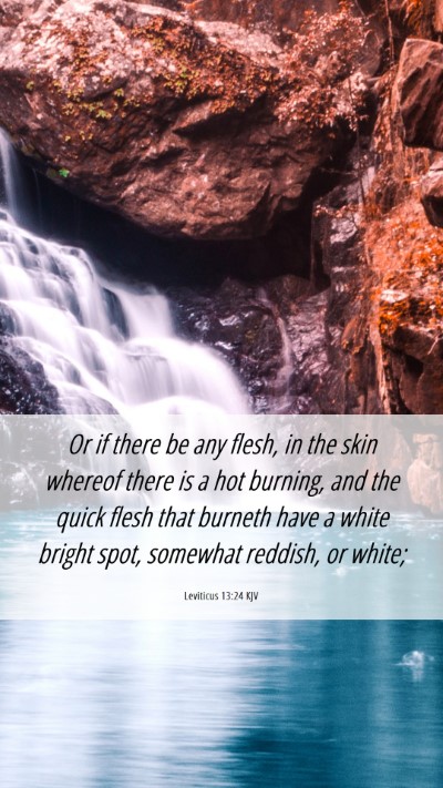 Picture 06 - Leviticus 13:24 KJV Mobile Phone Wallpaper - Or if there be any flesh, in the skin whereof - Mobile Bible Verse Wallpaper