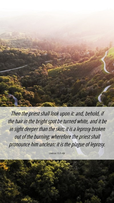 Picture 06 - Leviticus 13:25 KJV Mobile Phone Wallpaper - Then the priest shall look upon it: and, behold, - Mobile Bible Verse Wallpaper