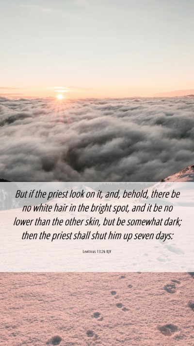 Picture 06 - Leviticus 13:26 KJV Mobile Phone Wallpaper - But if the priest look on it, and, behold, there - Mobile Bible Verse Wallpaper