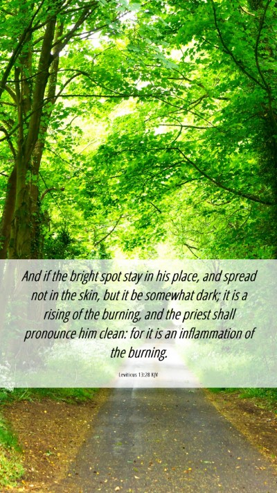 Picture 06 - Leviticus 13:28 KJV Mobile Phone Wallpaper - And if the bright spot stay in his place, and - Mobile Bible Verse Wallpaper