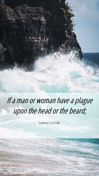 Picture 06 - Leviticus 13:29 KJV Mobile Phone Wallpaper - If a man or woman have a plague upon the head or - Mobile Bible Verse Wallpaper