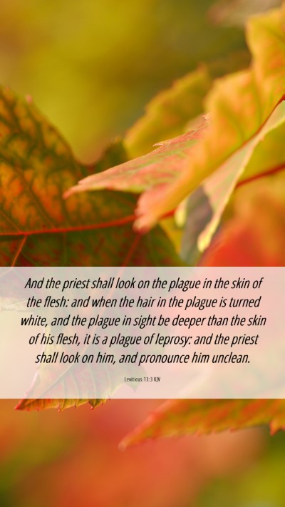 Picture 06 - Leviticus 13:3 KJV Mobile Phone Wallpaper - And the priest shall look on the plague in the - Mobile Bible Verse Wallpaper