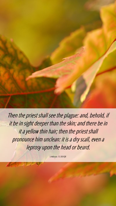 Picture 06 - Leviticus 13:30 KJV Mobile Phone Wallpaper - Then the priest shall see the plague: and, - Mobile Bible Verse Wallpaper