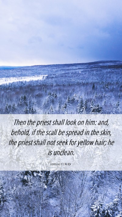 Picture 06 - Leviticus 13:36 KJV Mobile Phone Wallpaper - Then the priest shall look on him: and, behold, - Mobile Bible Verse Wallpaper