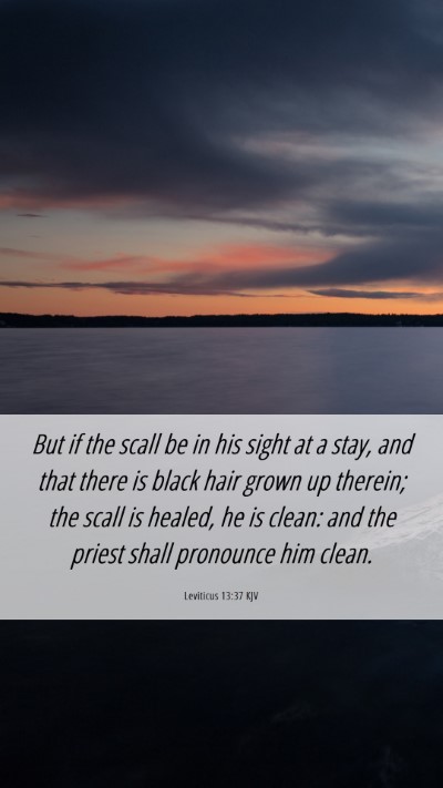Picture 06 - Leviticus 13:37 KJV Mobile Phone Wallpaper - But if the scall be in his sight at a stay, and - Mobile Bible Verse Wallpaper