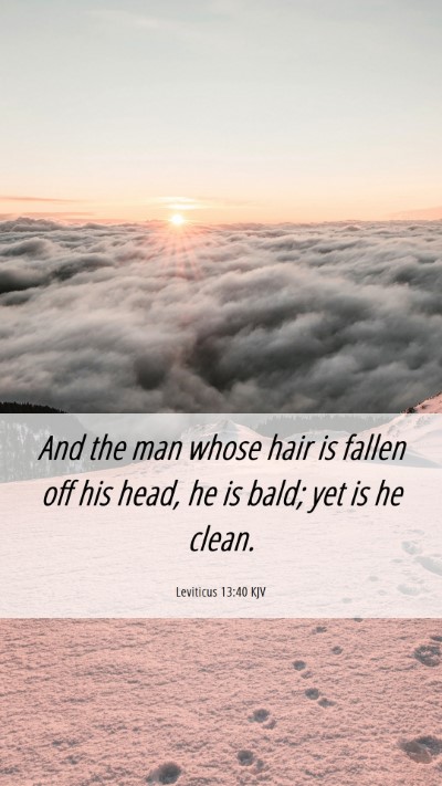 Picture 06 - Leviticus 13:40 KJV Mobile Phone Wallpaper - And the man whose hair is fallen off his head, he - Mobile Bible Verse Wallpaper