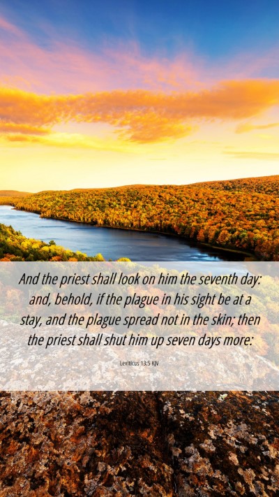 Picture 06 - Leviticus 13:5 KJV Mobile Phone Wallpaper - And the priest shall look on him the seventh day: - Mobile Bible Verse Wallpaper