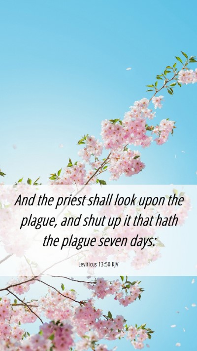 Picture 06 - Leviticus 13:50 KJV Mobile Phone Wallpaper - And the priest shall look upon the plague, and - Mobile Bible Verse Wallpaper