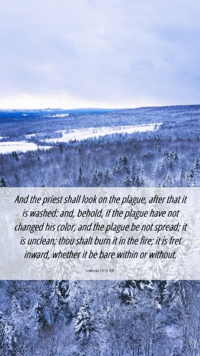 Picture 06 - Leviticus 13:55 KJV Mobile Phone Wallpaper - And the priest shall look on the plague, after - Mobile Bible Verse Wallpaper